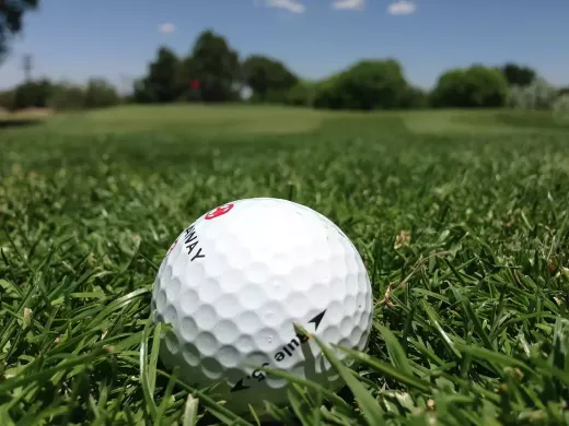 Golf Majors - The U.S. Open